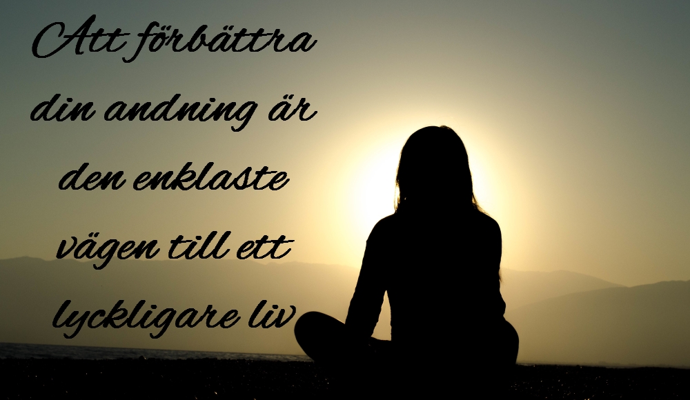 andning lycka meditera glädje