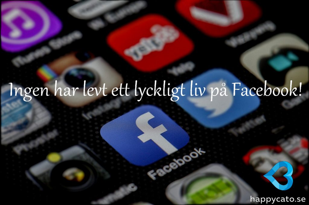 Ingen lycklig av facebook