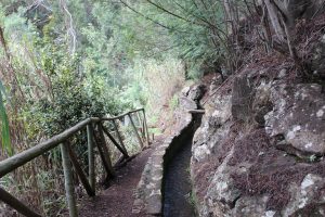 Levada lycka